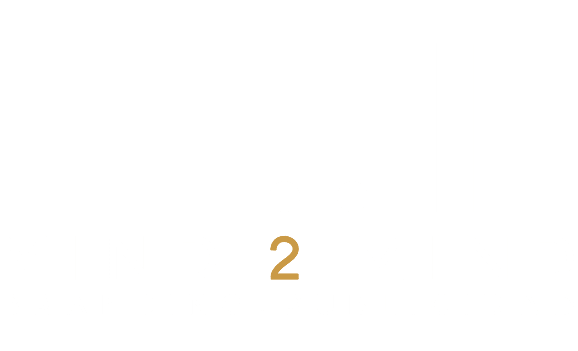 logo mind 2 mind